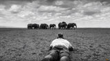 David Yarrow Photography - Americas, Africa, Antarctica, Arctic, Asia, Europe