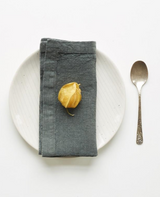 Linen Napkin - Set of Two