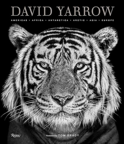 David Yarrow Photography - Americas, Africa, Antarctica, Arctic, Asia, Europe