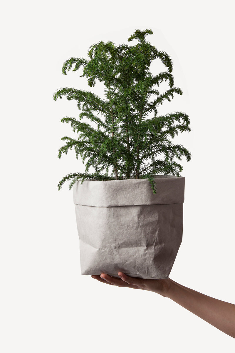 Washable paper planter bags - The perfect eco-friendly solution
